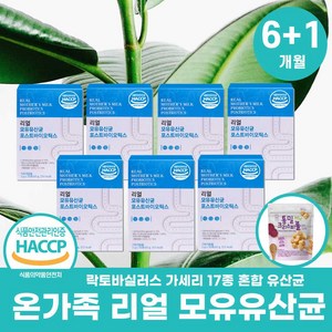 4세대 모유유산균 bnr17 다이어트 비에날17 / 리얼 모유유산균 식약처해썹 우리밀크리스피롤 사은품 [비에날씬 옵션선택], 리얼모유유산균7상자+우리밀통밀크리스피롤자색1봉