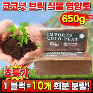 [1초 불림 완성] 코코넛 브릭 영양토 코코피트 분갈이흙 식물 영양제 화분흙 코코넛 배양토 대용량 압축 코코피트 만능 영양 벽돌 베란다 텃밭 배양토 650g, 1개