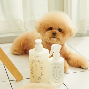 [슈아모] 프리미엄 저자극 펫 샴푸 480ml, [슈아모-저자극 펫 샴푸(480ml)], 1개