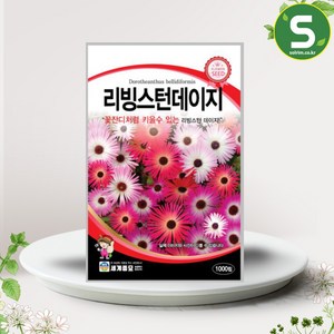 리빙스턴데이지 씨앗 1000립 관상용 혼색 꽃씨앗 종자, 1개