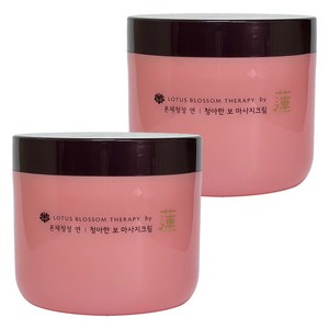 과일나라 본체청정 연 청아한 보 마사지 크림 300g, 2개