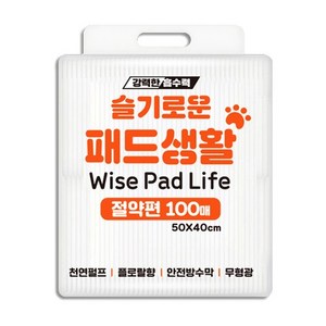 슬기로운패드(절약형)-100매, 100개입, 1개