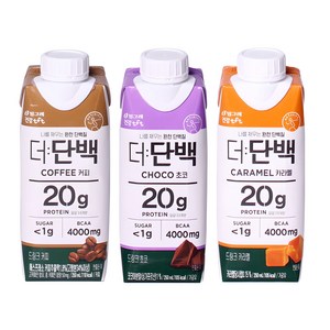 빙그레 더단백 드링크 프로틴음료 250ml 3종 기획, 1세트