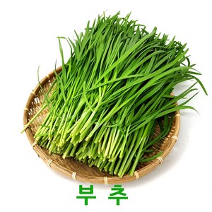 싱싱한 부추2kg 4kg 웰빙체소, 1박스