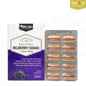 [사은품]뉴질랜드 파이오라 빌베리 50000 + 루테인 20mg 60캡슐 눈영양제 눈건강, 5개, 300정