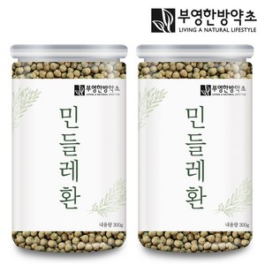 부영한방약초 국산 민들레환 300g, 2개