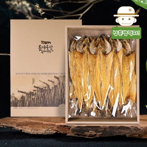 [생산자직송] 용대리덕장에서 말린 유영순님의 황태포 선물세트(대) 10미, 단품