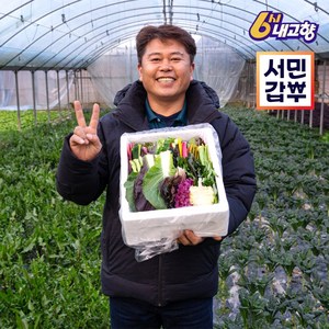 서민갑부 모듬채소 20종 양주농부 클로렐라 쌈채소 유러피안 샐러드 야채 600g-1.2kg, 클로렐라쌈채소 600g, 1박스