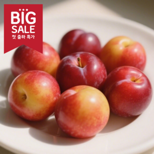 25년 첫자두 상큼과즙 하우스 자두, 1개, 300g