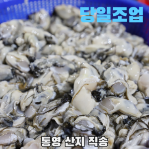 통영 당일조업 생굴 깐굴, 1세트, 통영 당일조업 생굴 1kg