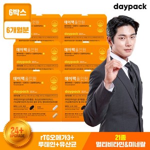 디에센셜 데이팩 올인원 24종 복합 멀티비타민 한팩 영양제 유산균 오메가3 루테인, 63.3g, 6개