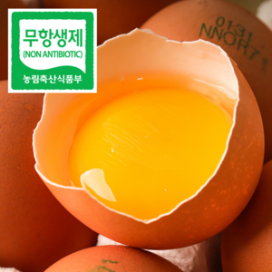 제철에진심 무항생제 난각번호1번 유정란 자연방사 계란 달걀, 1박스, 20구