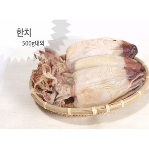 AAA급 한치 500g, 25개