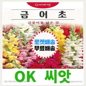 [OK씨앗] [금어초] 금어초씨앗 맥시멈 혼합 종자(오케이씨앗), 1개