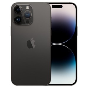 Apple 정품 아이폰 14 Po Max 자급제, 스페이스블랙, 128GB