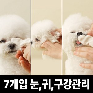 펫생각 강아지 오가닉 핑거패드 7개입 눈 귀 이빨 치아 관리 100%국내산 손가락 칫솔 눈물 눈꼽 염증 관리 재사용, 1박스