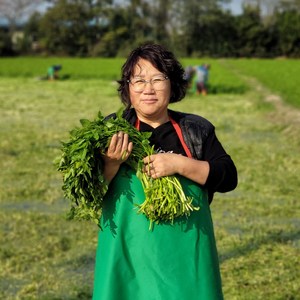 당일수확 당일발송 청정수 동곡 돌미나리 1kg, 1박스