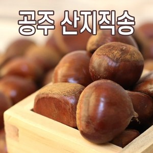 공주밤 정안밤 햇밤 알밤 산지직송, 공주밤 특대, 1개, 2kg