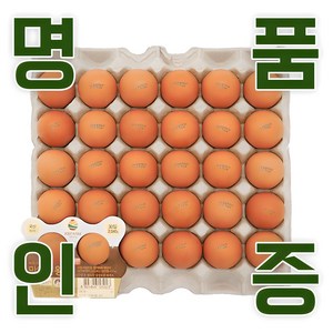 KB fam 계란 명품인증 무항생제 달걀 왕란 30구, 1개