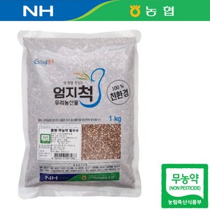 강원 정선 24년산 국산 무농약 수수 1kg 찰수수 수수쌀 수수밥, 1개