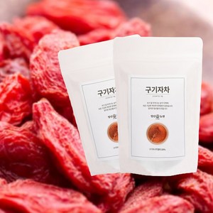 청년농원 저온가공 구기자차 삼각티백, 100개입, 1개, 1g