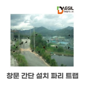 윈도우 플라이트랩 48매 캠핑용 병충해 예방 해충 파리 퇴치 끈끈이 대길산업 셀프클린, 1개
