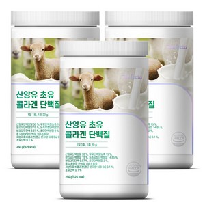 퍼펙토 산양유 초유 콜라겐 단백질 산양유단백질 유청단백질, 250g, 3개