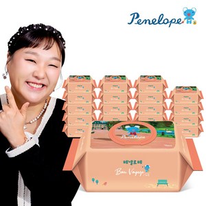 페넬로페 본보야지 메종 아기물티슈 캡형, 70개입, 20개