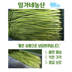 [임가네농산] 부추 국내산 부추 부추박스 부추요리, 4kg, 1개