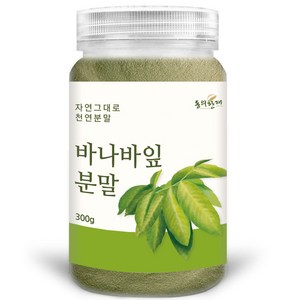 동의한재 바나바잎 분말 가루, 300g, 1개