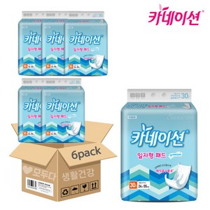 카네이션 성인용기저귀 속기저귀/일자고급형 30매X2팩(60매), 일자형, 30개입, 6개