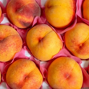 [명인농가] 고당도 말랑이 황도복숭아 물복 털복숭아, 1개, 1kg(중소과)