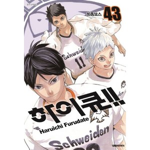 하이큐!! 43, Haruichi Furudate(저), 대원씨아이