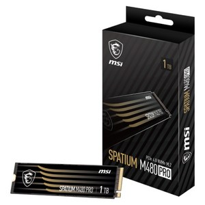 MSI SPATIUM M480 PRO M.2 NVMe (1TB), 선택1, 선택1