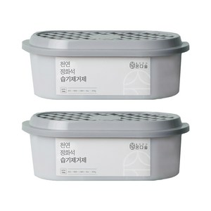 온다숲 반영구 천연 제습제 정화석, 300g, 2개