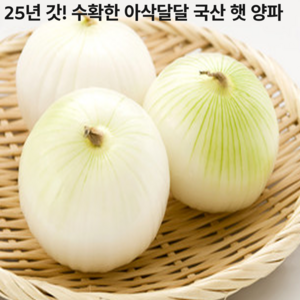 [25년신상!] 단맛터지는 고당도 국산 햇 양파, 1박스, 3kg (대)