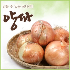 아빠의 마음 국내산 양파 3kg 5kg 10kg, 10kg 상품, 1개