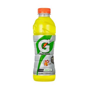 게토레이 게토레이 600ml 20페트, 20개