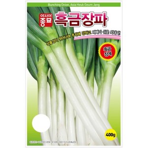 대파 흑금장파 (10g)-아시아 종묘, 1개