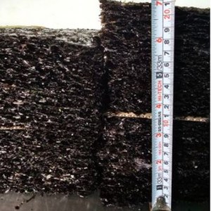 완도 햇 곱창김 100장 지주식 맛있는 명품 곱창돌김 12월 생산, 470g, 1개