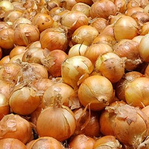 [상큼한별] 국내산 단단한 무안 햇 양파 2kg 3kg 5kg 10kg, 1개, 햇 양파 소 3kg