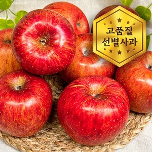 [굿이스] 프리미엄 경북 부사 사과 정품사과 꿀사과 개별망 산지직송, 1박스, 2kg 소과(10-13과)