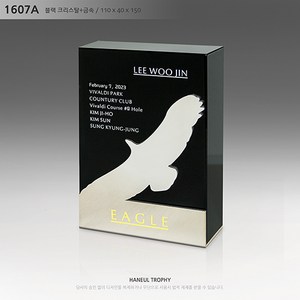 이글트로피 이글 이글패 홀인원트로피 홀인원 홀인원패 골프트로피 골프 골프패 감사패 공로패 기념패 위촉패 재직기념패 임명패 표창패 취임패 근속기념패 크리스탈 블랙크리스탈 1607, A : 이글용, 1개