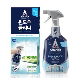 아스토니쉬 스페셜리스트 윈도우 클리너 750ml, 2개