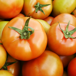 [초록이네] 국내산 찰토마토 완숙 토마토 유럽종, 1박스, 2.5kg(주스용)