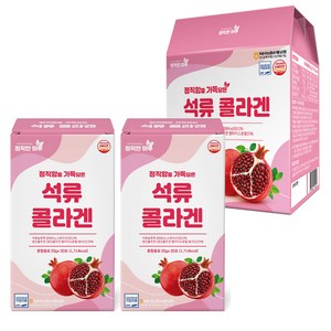 정직한 하루 진짜 석류를 가득 넣은 석류 콜라겐 젤리스틱, 360개, 20g