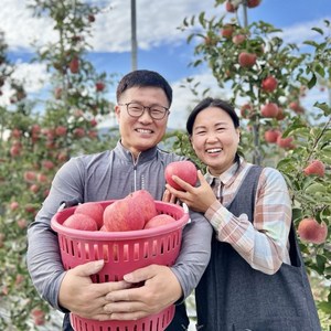 경북 안동 사과 선물용 부사 꿀사과 산지직송 5kg 바드레농장, 5kg 중과(17과), 1개