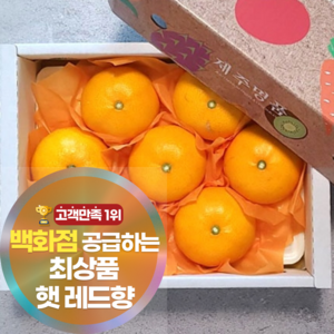 [백화점공급] 초고당도 제주도 레드향 과일 로얄과 선물세트 맞춤배송, 1세트, 1.5kg(명품 소과)