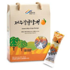 간식의 명품 제주감귤양갱 400g(20gx20개), 20g, 20개