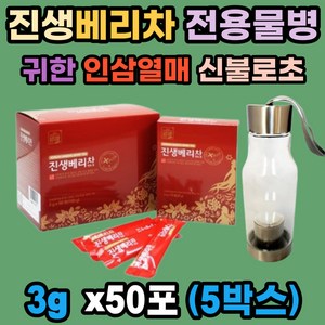 진생베리차 (거꾸로냉온물병) 인삼열매 티백 50포x5ea 4년생 인삼에게서 일주일간만 수확하는 귀한 열매 하루 세번 힐링타임 차 한잔 여유 진세노사이드 함유 티 선물 세트 추천